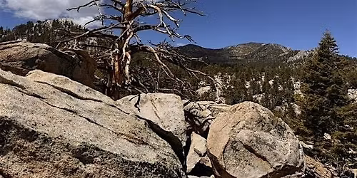 Off Trail Mountain Mystery Hike