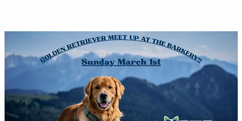 Golden Retriever meet-up at The Barkery!!!