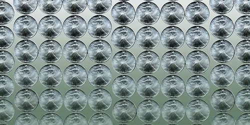 U.S. World Numismatic Gold Silver Coin Bullion Auction