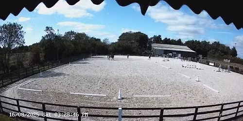 unfililated Dressage with Jackie Staff