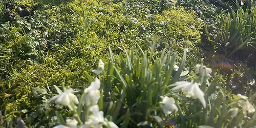 Spring Equinox Circle