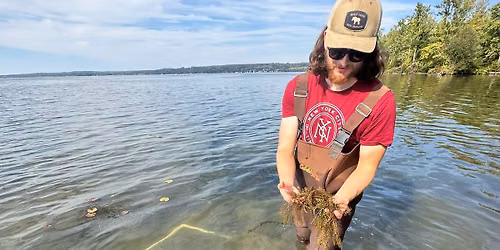 Unwanted Guests: The Truth About Aquatic Invasive Plants