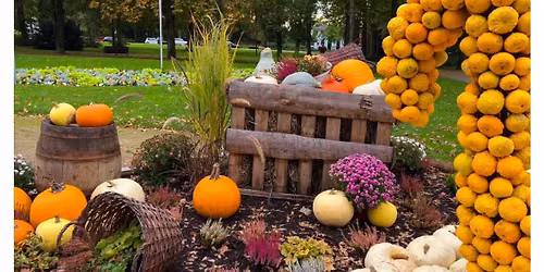 Fall Festival 