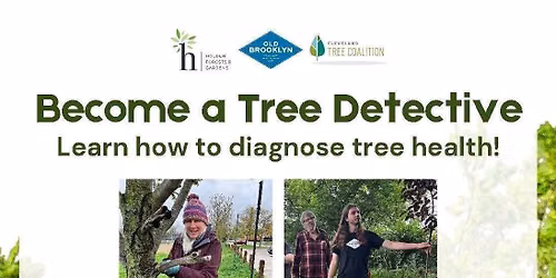 Become a Tree Detective