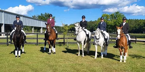 Alpha Dressage Schooling Show at Fox Lea Farm