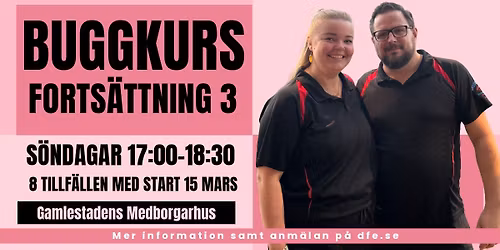 V\u00e4ssa din bugg - Forts\u00e4ttningskurs 3 \ud83d\udcab