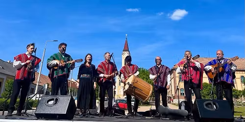 Los Andinos koncert - Sz\u00e9kesfeh\u00e1rv\u00e1ron