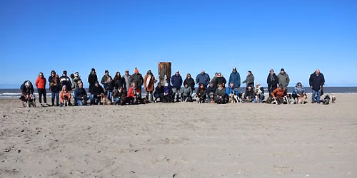 Jaarlijkse Engelse Cockerspaniel Nieuwjaarsduik Zondag 14 maart 2027