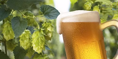 Brew School - Fresh Hop Season