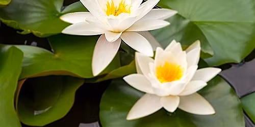 Das Gl\u00fcck inneren Friedens