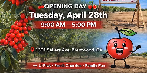 \ud83c\udf52 Sweet Lou\u2019s Cherries Opening Day \u2013 U-Pick is Back!