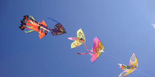 Aquiloni nel Vento a Bibione Pineda