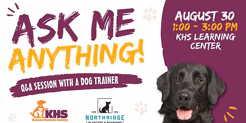 Ask Me Anything - Dog Trainer Session