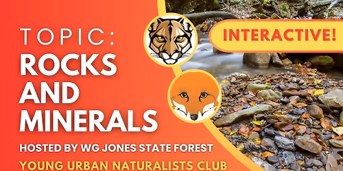 Rocks & Minerals: Young Urban Naturalists Club