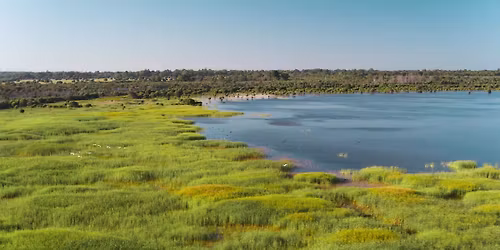 Birding & Nature Reserve Maintenance at Forrestdale Lake