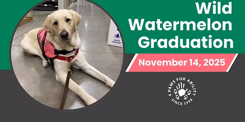 Wild Watermelon Graduation