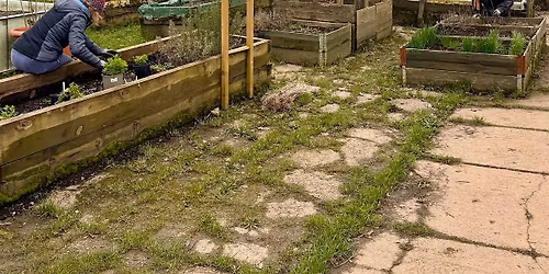 Free Volunteering Taster Day at Worcester community garden