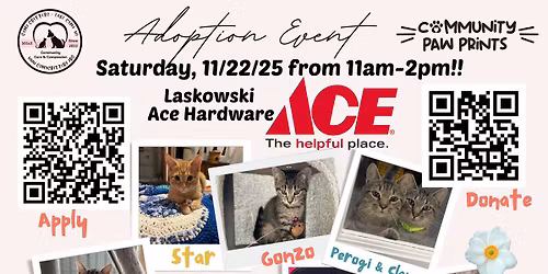 Adoption & Info Event