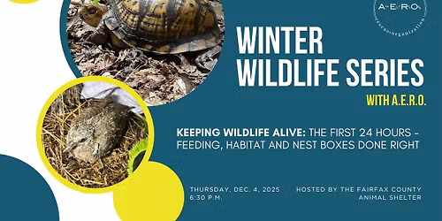 December Winter Wildlife Class With A.E.R.O.: Keeping Wildlife Alive - The First 24 Hours