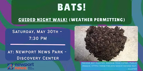Bats!