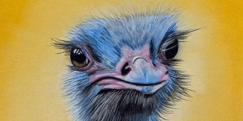 Ostrich Pastels Workshop with Roxy 