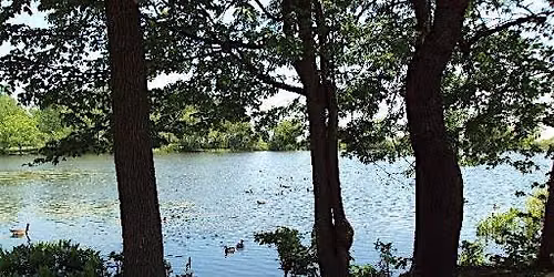 Nature Stroll at Willowbrook Park