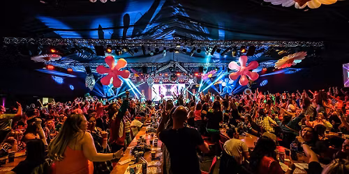 The Chrimbo Bingo Wonderland Show! 