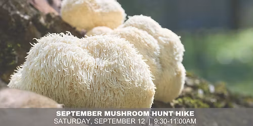 September Mushroom Hike