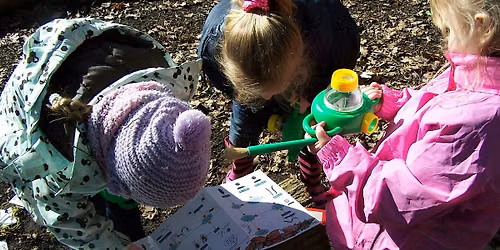 Fingringhoe bug and butterfly hunt