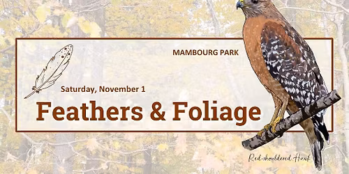 Feathers & Foliage (Mambourg Park)