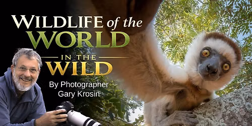 Wildlife in the World in the Wild RETURNS