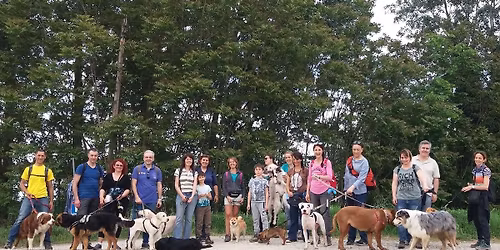 2 passi nella Grande Foresta di Travac\u00f2 - passeggiata cinofila