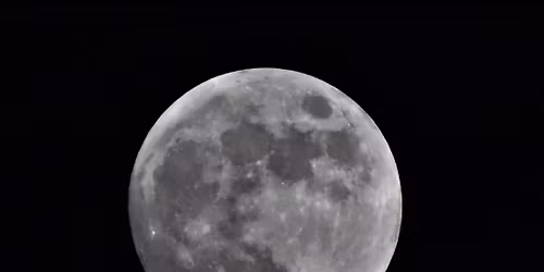 November Full Moon Tea Gathering