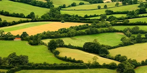 cursus haagvlechten - heggen leggen.