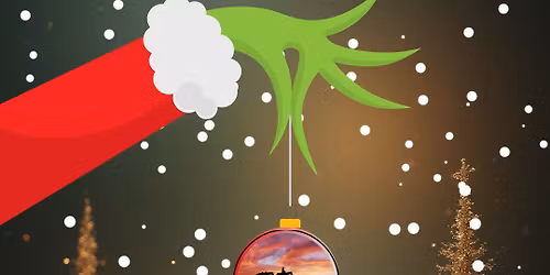 Ridge Country at the Tampa Bay Festival of Lights