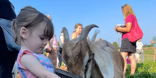 Blackacre Saturday Morning Farm Animal Feeding