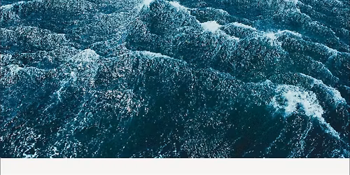 Five Leaves Fiction Book Group reads The Plague by Albert Camus