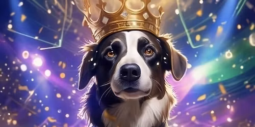 GALA SHOW NOSEWORK 2025! \ud83c\udf1f