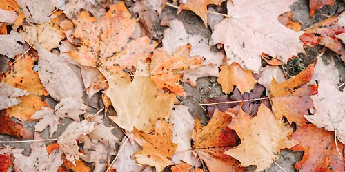 Grief Support Group - Bentonville