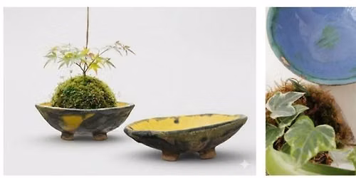 KOKEDAMA ET SON ECRIN EN CERAMIQUE