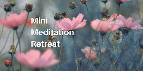 Mini Meditation Retreat, Saturday June 20, 9am to 12