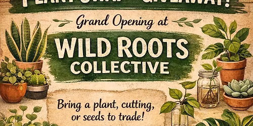 🌿 PLANT SWAP + GIVEAWAY 🌿