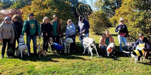 Harbor Hounds Halloween Costume Contest & Parade