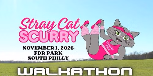 Stray Cat Scurry 2026 \ud83c\udf33