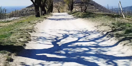 Pasquetta in Bicicletta \ud83d\udeb4\u200d\u2642\ufe0f Parco Regionale Colli Euganei!