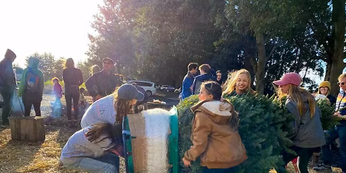 🎄🚜🎅🏽 Winter Fest - Christmas Tree Farm