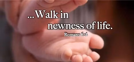 Worship - Baptism of Our Lord (Observed); Life Sunday