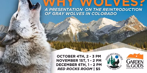 Why Wolves in Colorado?