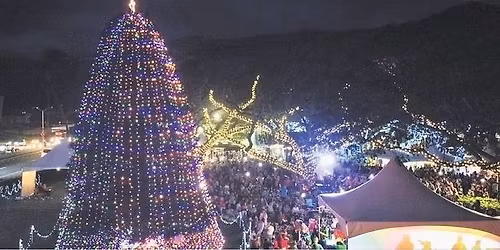 41st Annual Christmas Tree Lighting - Kailua