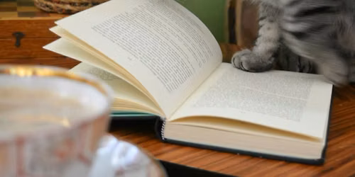 Bajah's Book Club